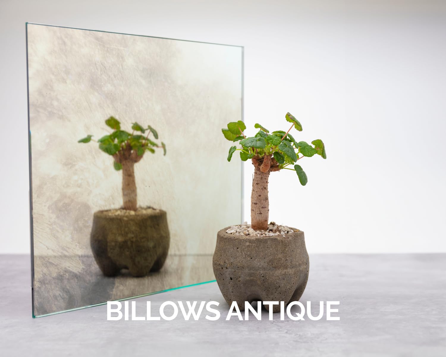 Billows Antique mirror finish