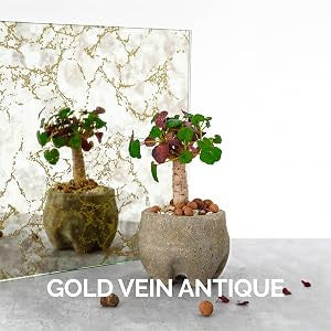 Gold Vein Antique mirror finish