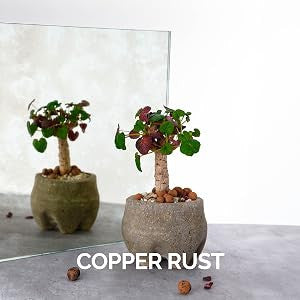 Copper Rust mirror finish